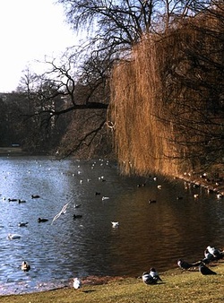 Hofgarten Düsseldorf